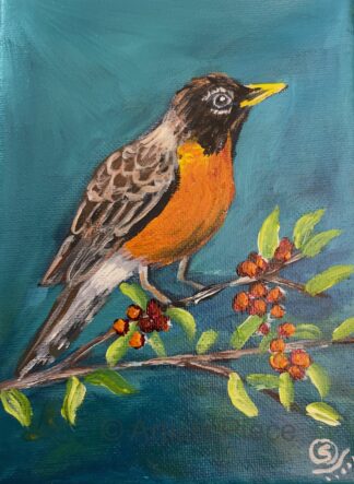 american_robin_7x5